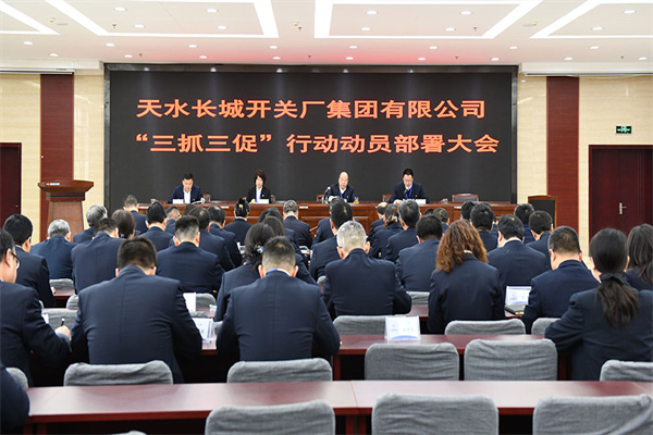 長開廠集團公司組織召開“三抓三促”行動動員部署會